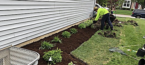 Plant Garden Landscaping crew planting flowers in residential yard