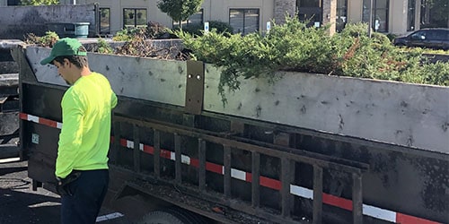 Spring clean-up and yard preparation services Harvard IL